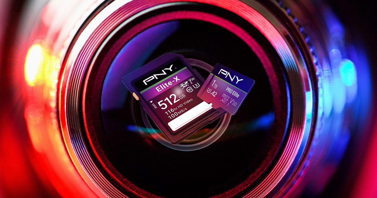 Flash Memory Cards Consumer