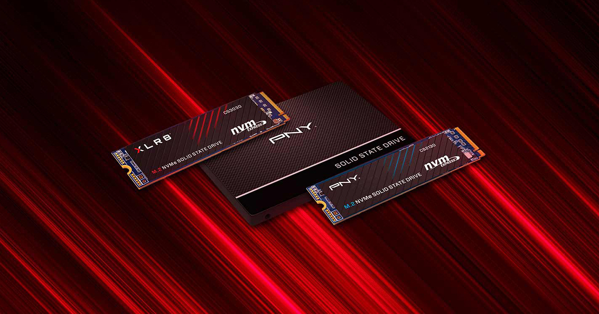 Disque dur interne PNY NVMe SSD 1To génération 3x4 - Buzz Micro
