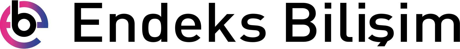 ENDEKS Logo