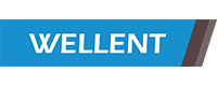WELLENT SYSTEM CONSULTANTS LTD. Logo