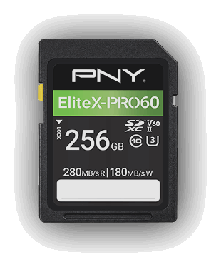 PNY Performance DDR5 4800MHz