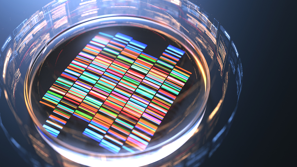 Genome sequence inside petri dish