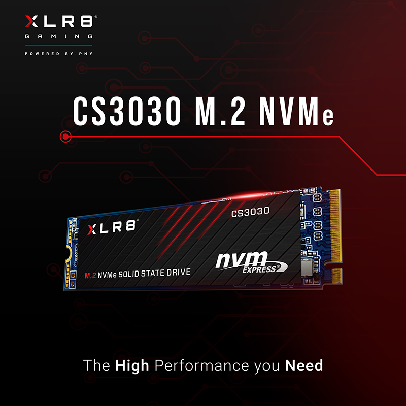 CS3030 M.2 NVMe SSD
