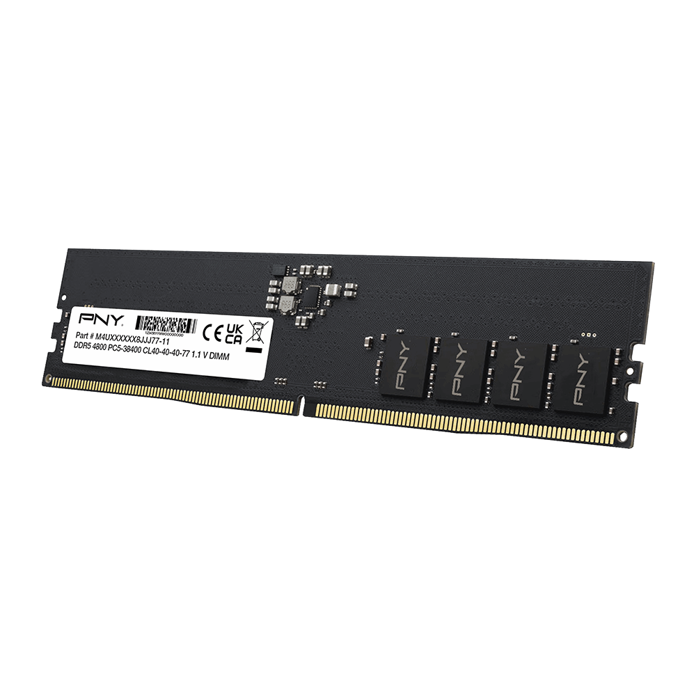 Performance DDR5 4800MHz Desktop Memory Left Angle