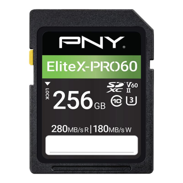 EliteX-PRO60 Flash Memory Card 256GB Front