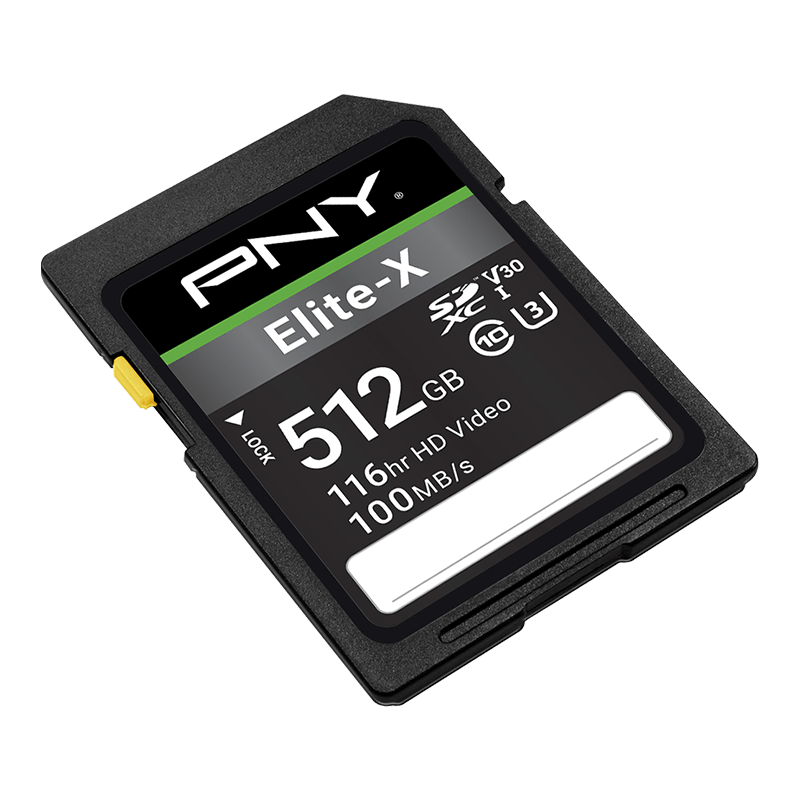 Full Sd Xxx Video - Elite-X Class 10 U3 V30 SDXC Flash Memory Card