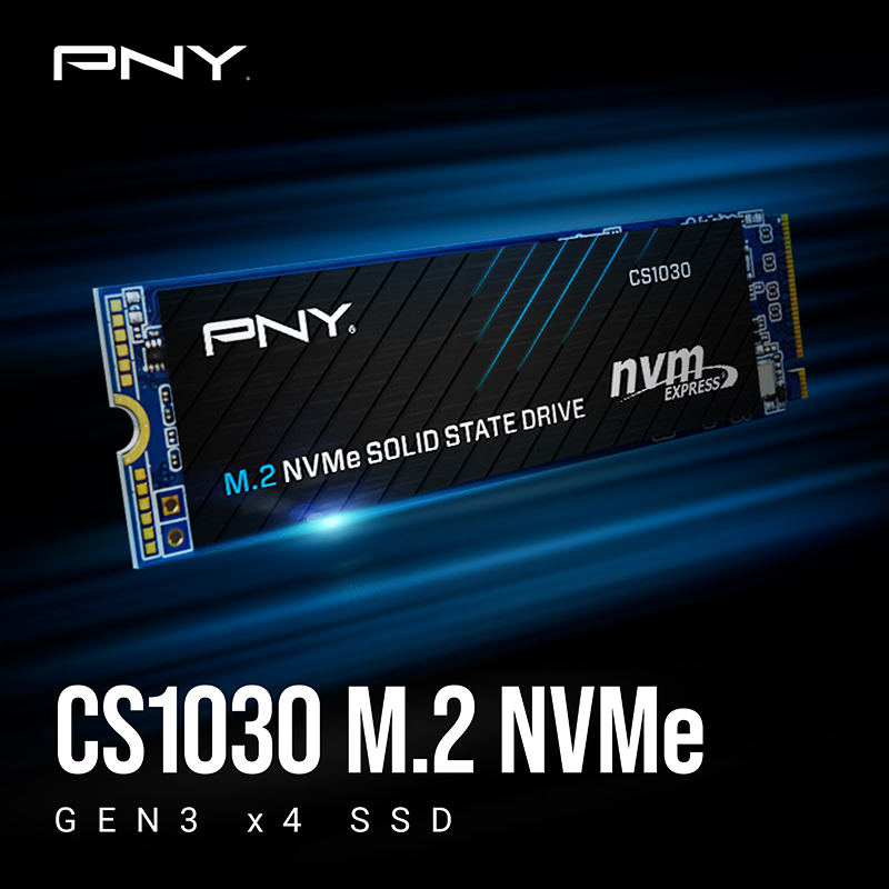 PNY CS2030 240GB M.2 2280 PCIe NVMe Internal Solid State Drive