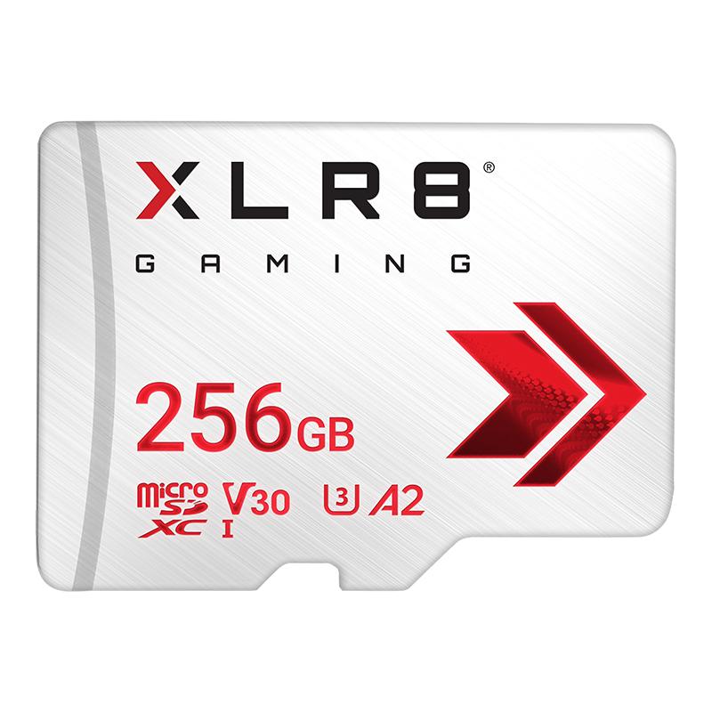 1-PNY-Flash-Memory-Cards-microSDXC-256GB-Gaming-fr.png