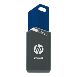 pny 256gb flash drive driver