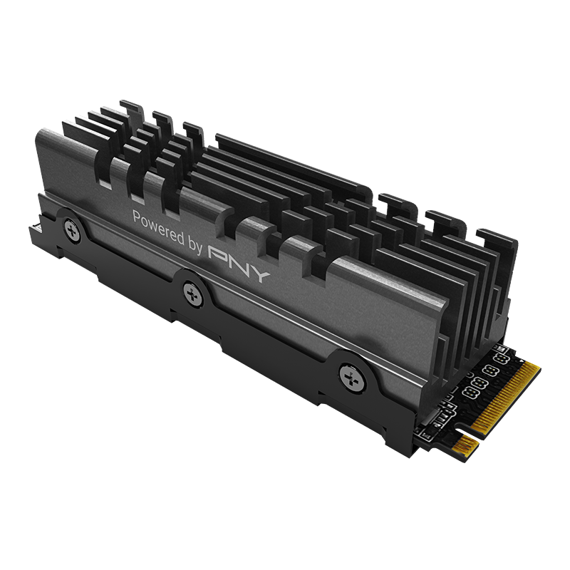 CS3040 M 2 NVMe SSD With Heatsink
