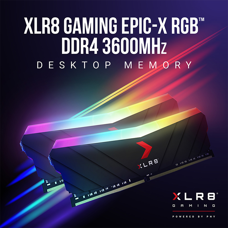 forbinde kød Bulk XLR8 Gaming EPIC-X RGB™ 3600MHz Desktop Memory