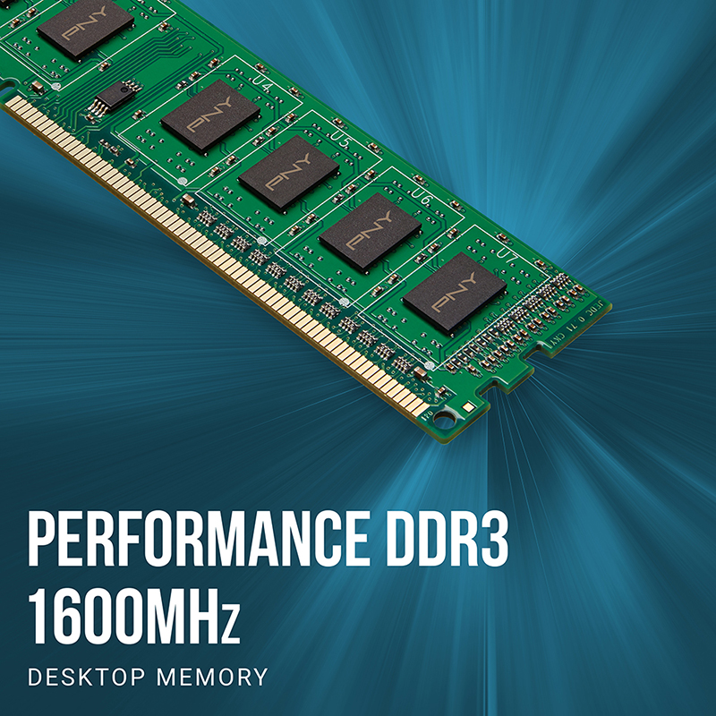 børste shuffle hul Performance DDR3 1600MHz NHS Desktop Memory