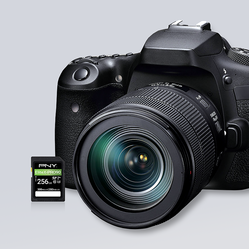 04-PNY-Flash-Memory-Cards-SDXC-EliteX-PRO90-Class-10-256GB-camera-use-fr.png